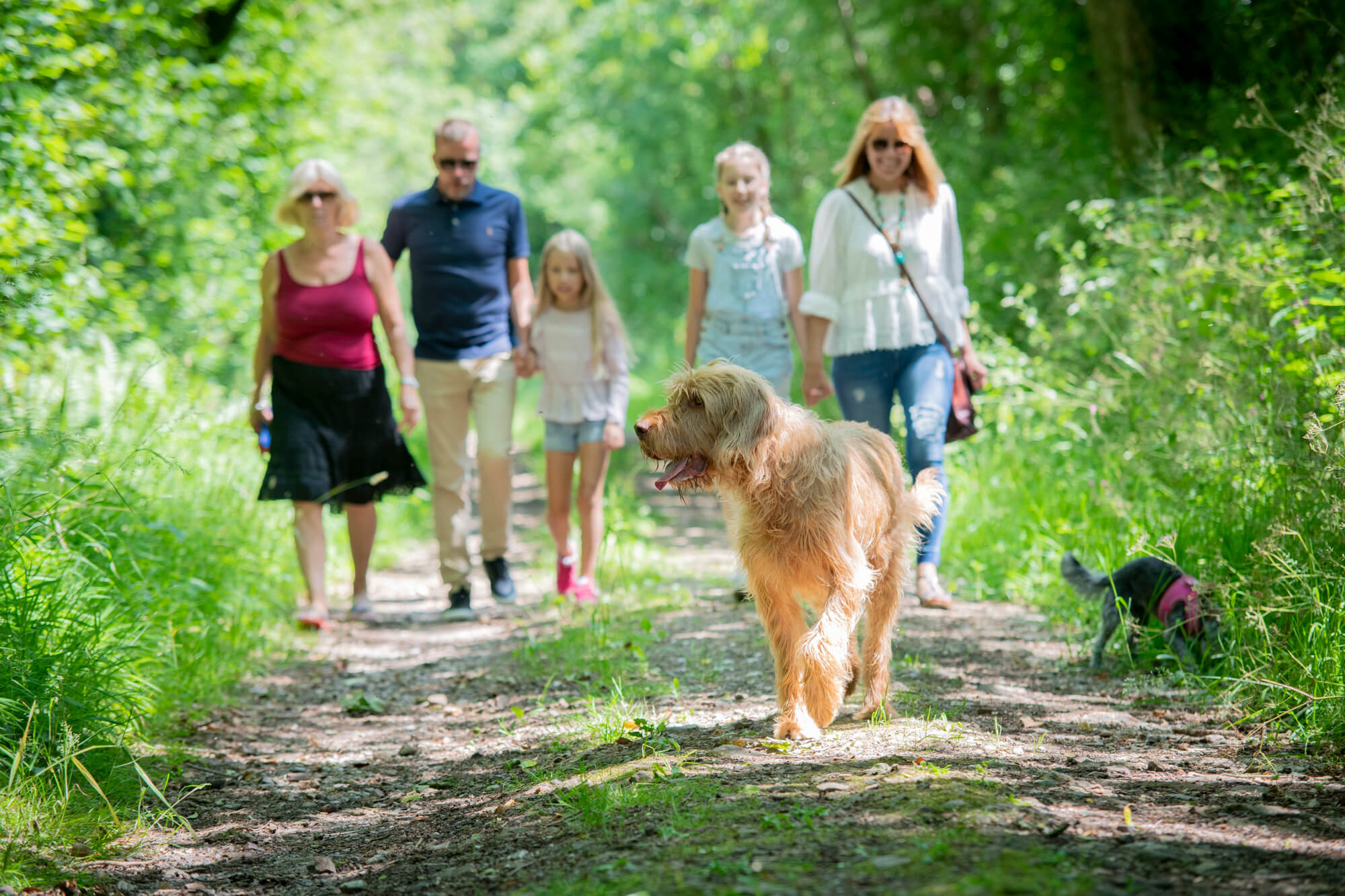 Holiday Lodges & Cottages In Devon | Otter Falls